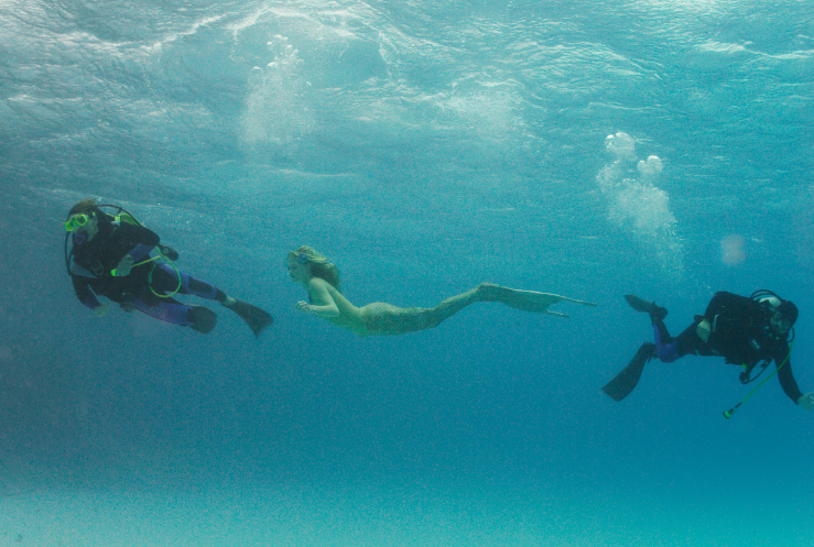 Diving 1