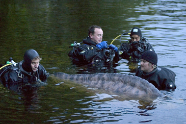 Loch Ness Monster: The Ultimate Experiment